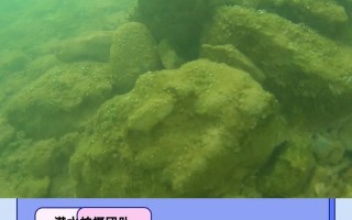 水下无人机如何拍出好视频？