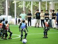 青少年机器人足球比赛，如何比拼智慧与协作？