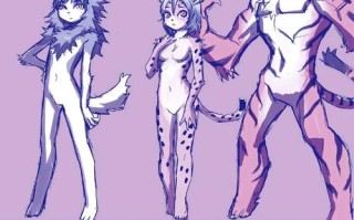 wow天空机器人图纸怎么获得？