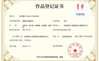 AI创作物，著作权该归谁？