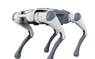 狗尾草机器人青春版有何独特魅力？