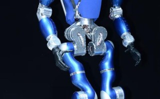 未来的机器人是什么样