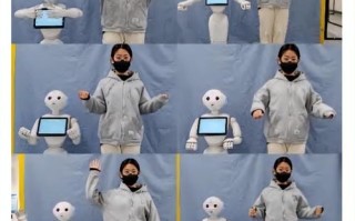 Pepper机器人用什么语言开发？