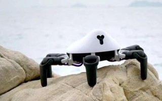 hexa机器人如何适应全地形挑战？