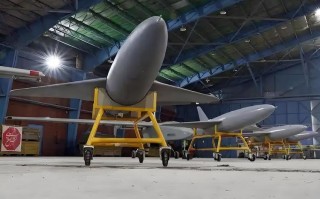 美伊无人机技术如何联合？