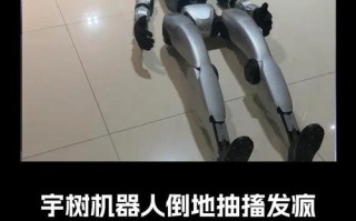 机器人倒下后如何进rec？