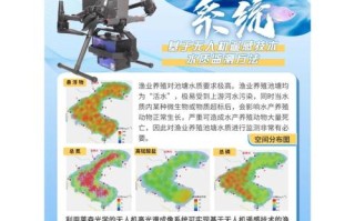 遥感无人机的应用 论文