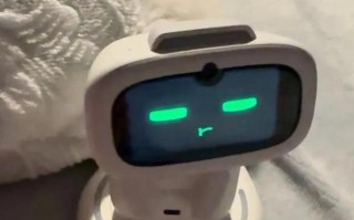 口袋机器人与普吉APP有何关联？