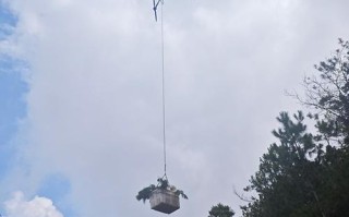 无人机卡树上怎么取下来？