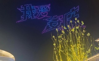 500架无人机有何用途？英特尔技术如何支撑？