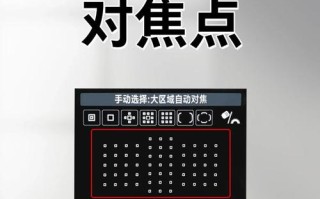 人工智能对焦 单词对焦