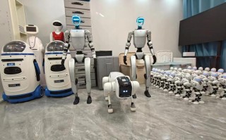 上海哪里能租到阿尔法机器人？