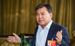 张近东 两会 人工智能