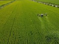 无人机撒农药市场空间有多大？