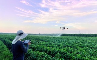 无人机喷农药到底能不能挣钱？