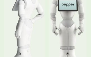 Pepper机器人哪里能买到？