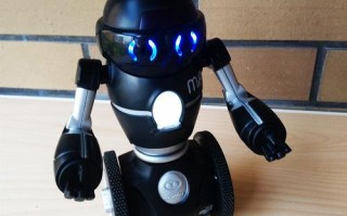 双轮智能机器人mip有何独特功能？