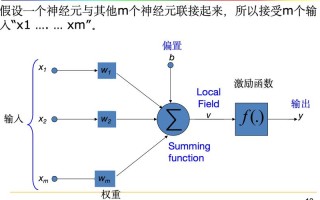 MIT神经网络如何突破AI极限？