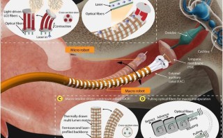 微型机器人有何实际应用价值？