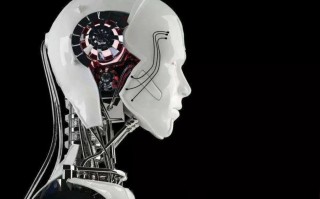 大脑皮层植入人工智能