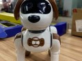 puppy小狗机器人