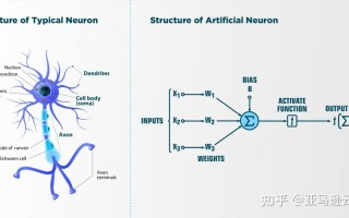 人工智能与神经网络有何本质区别？