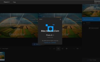 AI图片处理软件如何重塑创作边界？