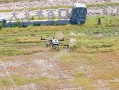 无人机农业植保现场会效果如何？