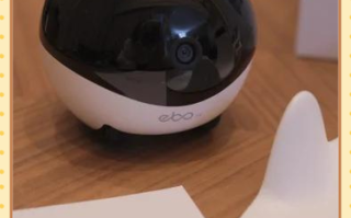 阿尔法ebot机器人有何独特功能？