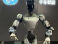 华为机人工智能机器人