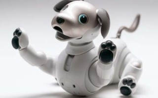 AI机器人aibo能带来怎样的陪伴体验？