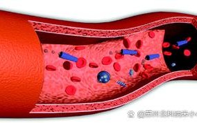 微米纳米机器人，原理与应用如何？