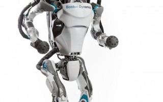 托比 斯蒂芬 机器人