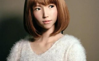 erica机器人视频