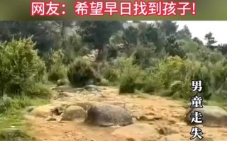 AI如何助力寻找走失儿童？