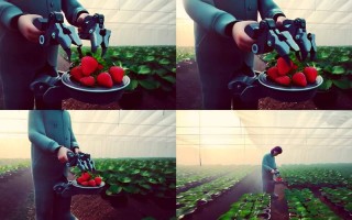 草莓采摘机器人如何实现高效作业？