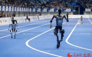 机器人大赛都有哪些类型的机器人？