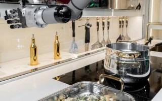 Moley机器人真实视频展示了什么能力？