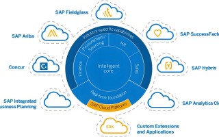 SAP AI客户有何独特价值与挑战？