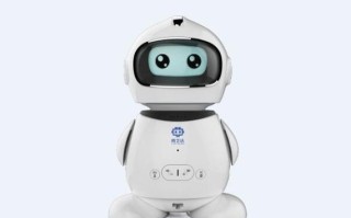 小勇机器人yyd 5价格是多少？