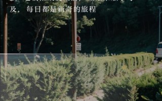 人工智能是美梦？它会是美梦吗？