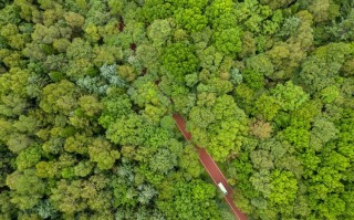 无人机森林穿越旅游，安全吗？