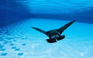 蝠鲼机器人MantaDroid如何实现高效仿生游动？