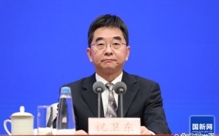 人工智能协会王卫宁简历有何亮点或争议？