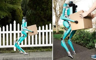 类似cassie机器人有何独特优势？