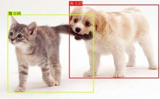 猫和狗的识别 人工智能