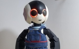 Robi机器人为何与陈柏霖关联？