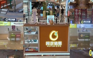 阿尔法机器人广州门店有何独特之处？