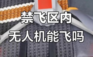 广东为何禁飞无人机？
