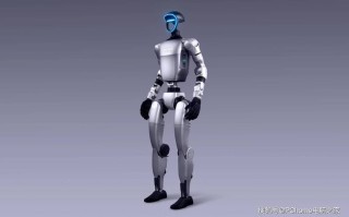 人形机器人 2025